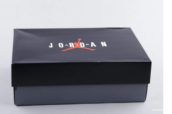  Jordan 378038-016 Retro 378038-016 Platinum 11 (GS) Tint 0406